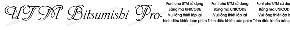 UTM Bitsumishi Pro字体转换